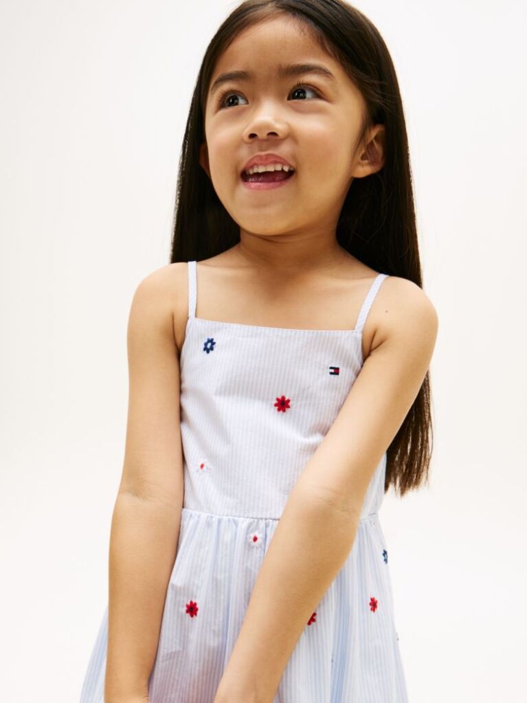 Multi Floral Embroidery Stripe Fit And Flare Dress  Girls