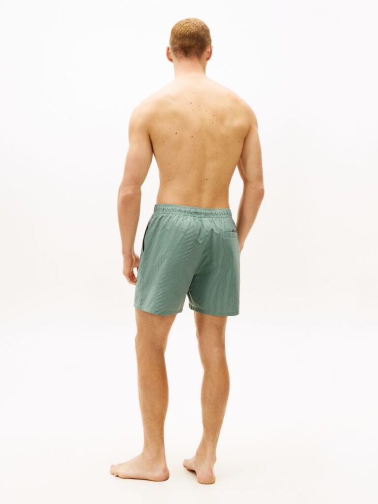 Green Original Ithaca Stripe Mid Length Swim Shorts  Men