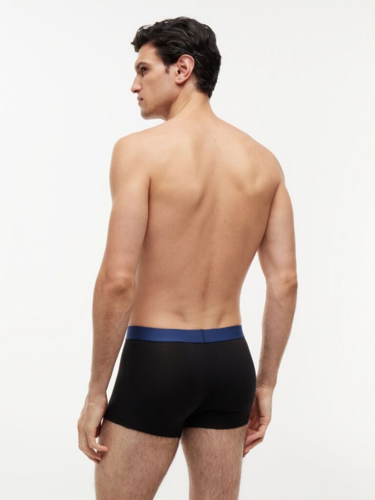 Multi 3-Pack TH Original Logo Waistband Trunks  Men