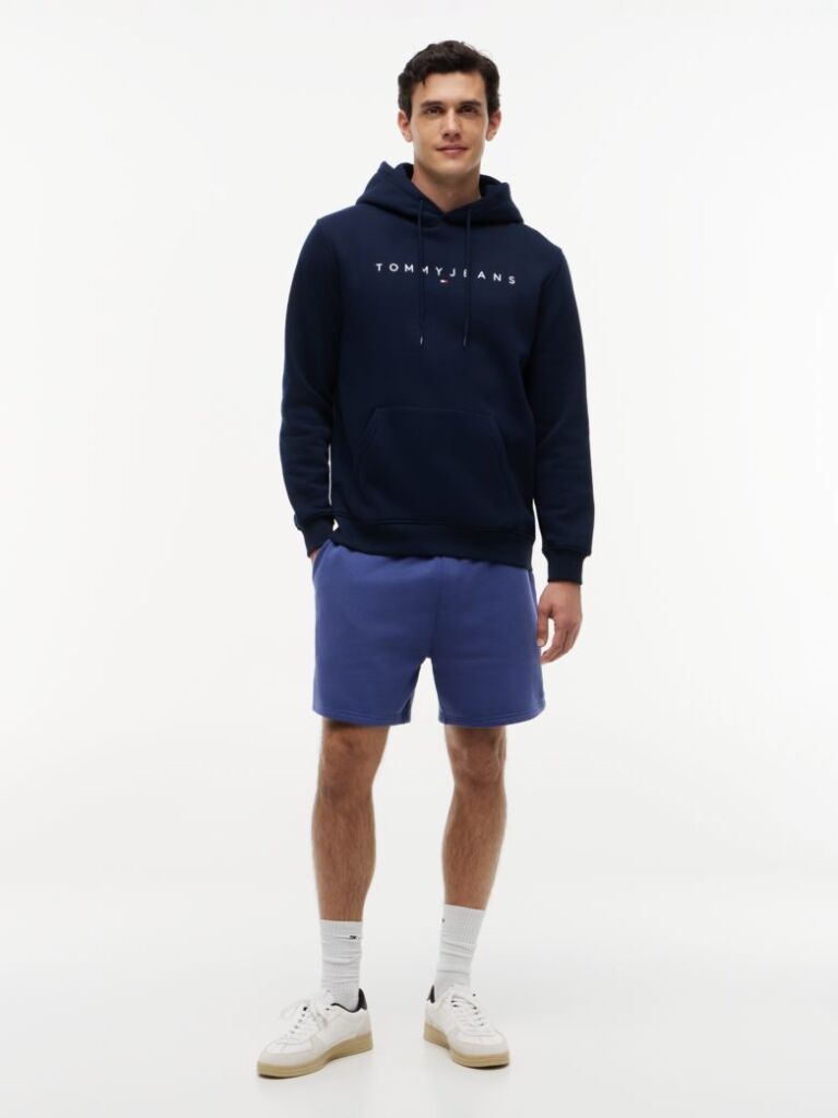 Blue Regular Logo Hoody  Men