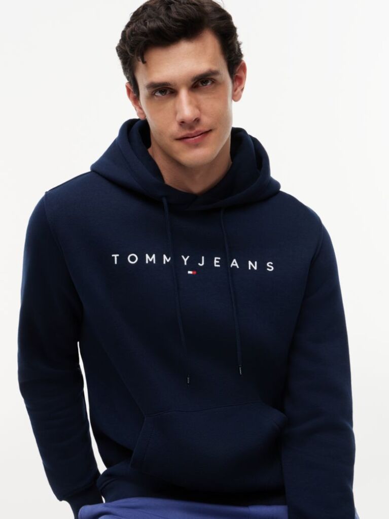 Blue Regular Logo Hoody  Men