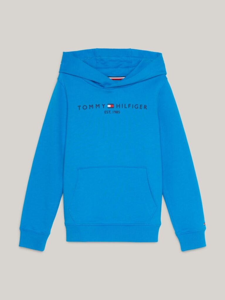 Blue Essential Logo Hoody  Kids Unisex