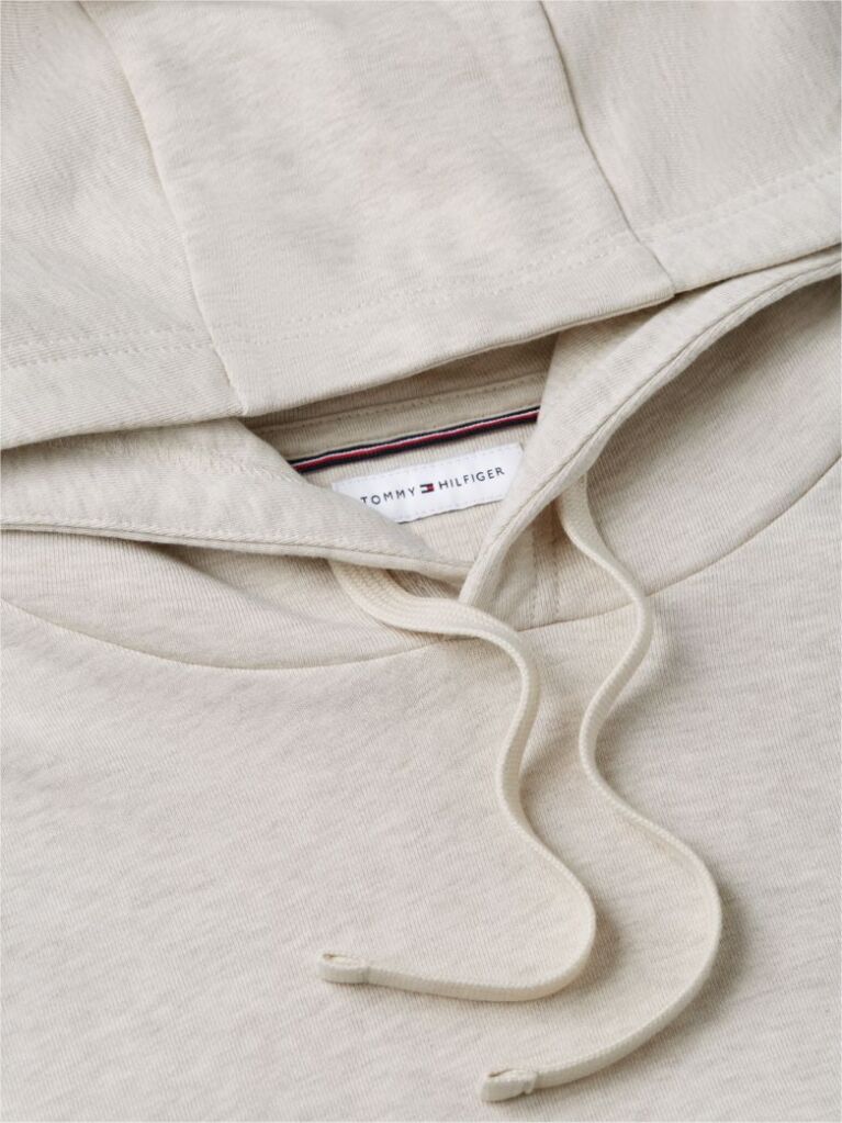 Beige Flag Embroidery Terry Hoody  Men