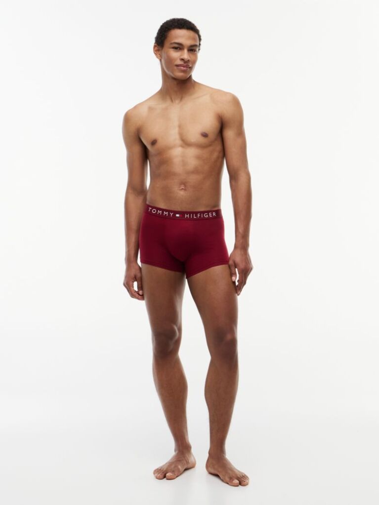 Multi 3-Pack TH Original Logo Waistband Trunks  Men