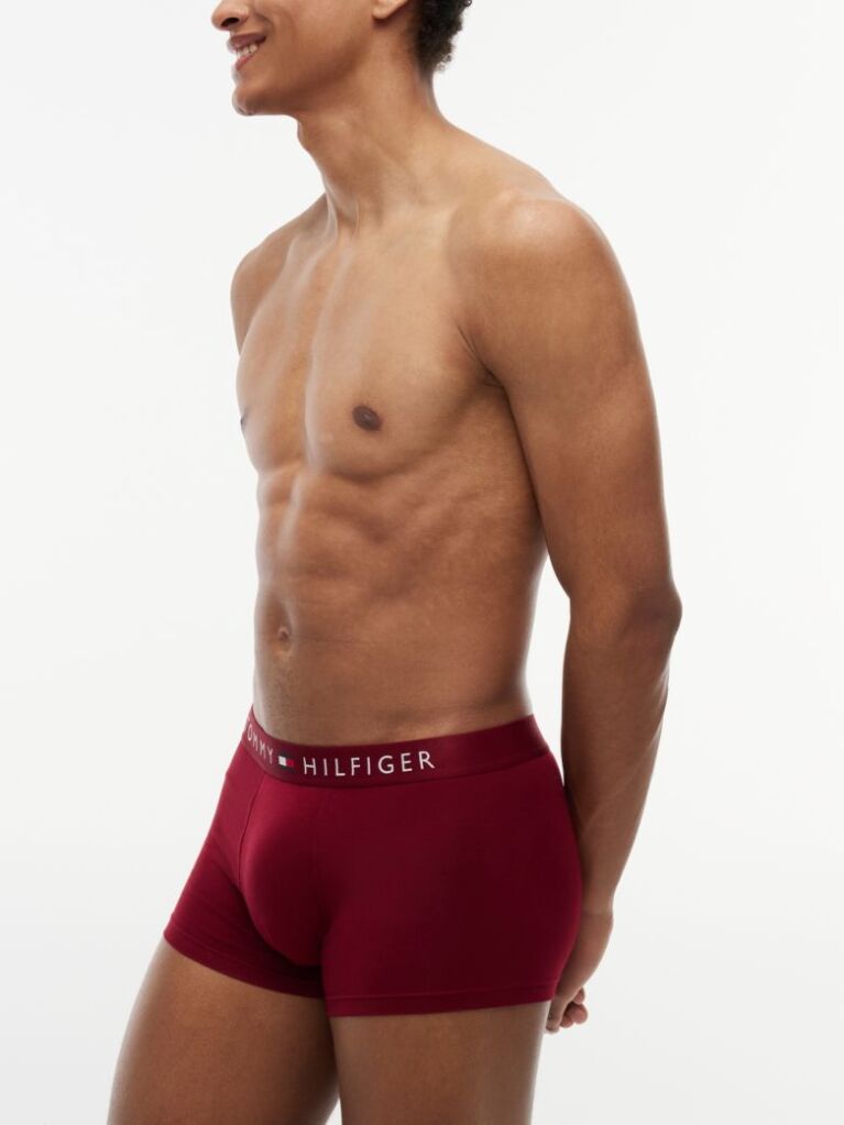 Multi 3-Pack TH Original Logo Waistband Trunks  Men