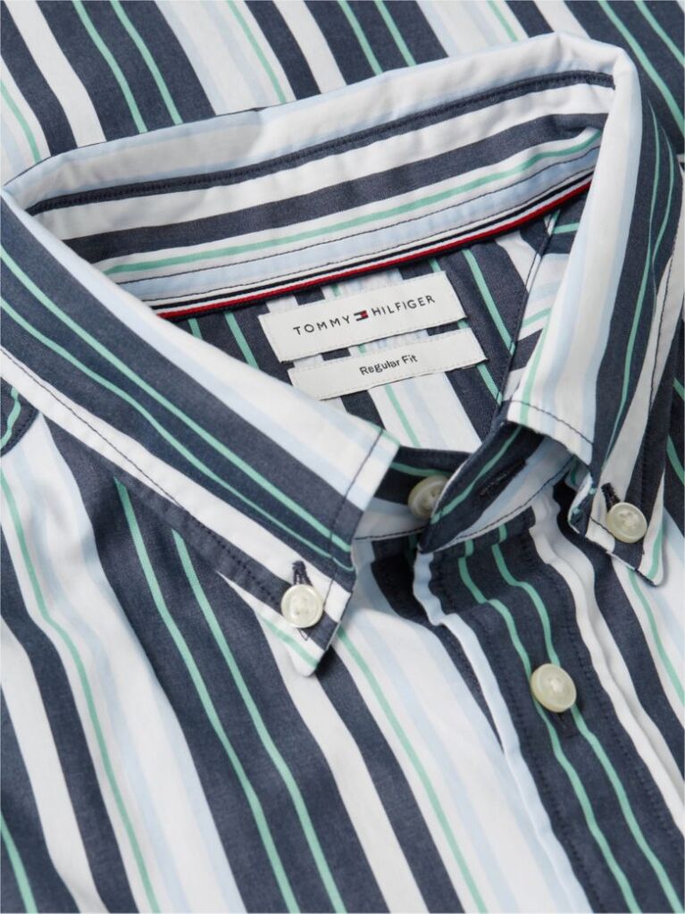 Multi Regular Fit Multicolour Stripe Poplin Shirt  Men