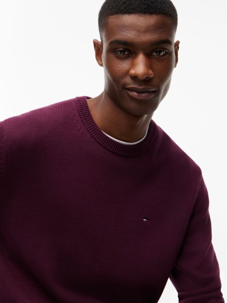 Purple Crew Neck Slim Jumper  Men