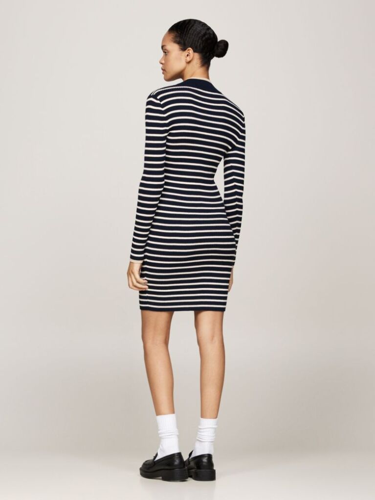 Multi Metallic Stripe Mini Jumper Dress  Women