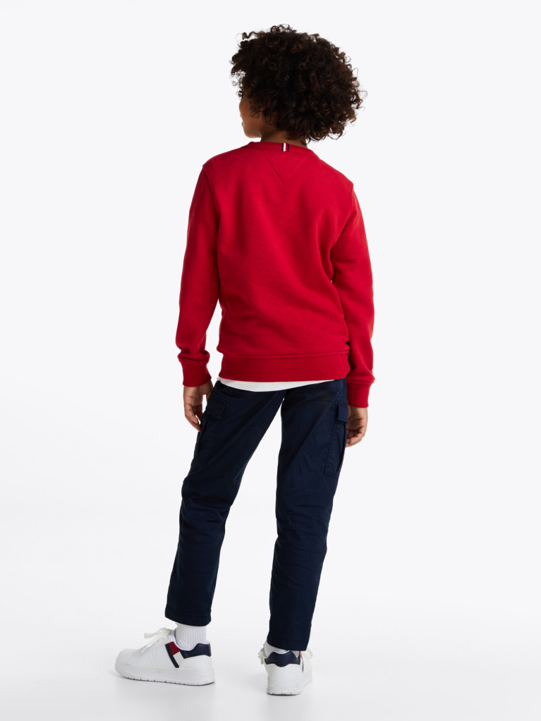 Red 1985 Collection Patch Sweatshirt  Boys