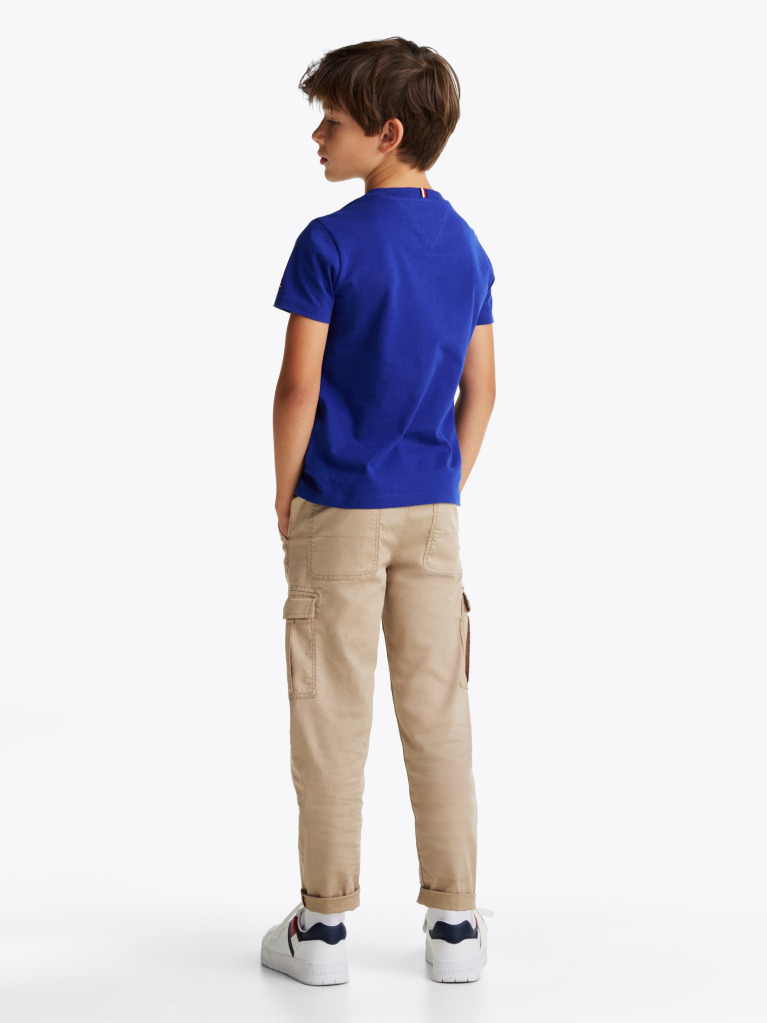 Blue Flag Graphic Crew Neck T-Shirt  Boys