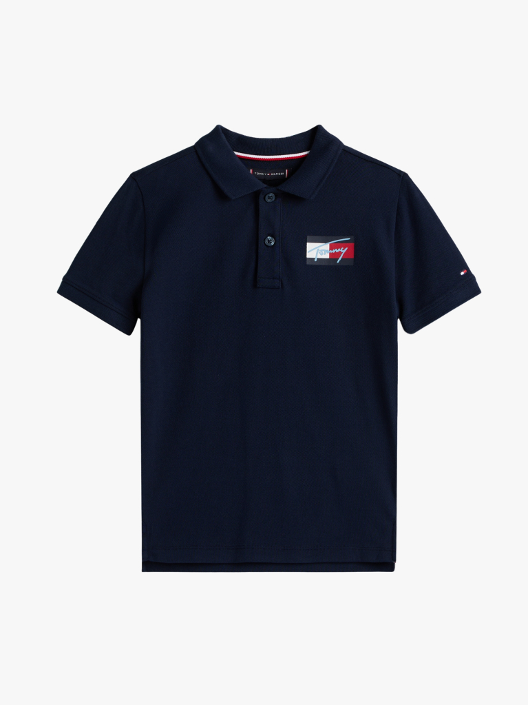 Blue Signature Logo Regular Fit Polo Shirt  Boys