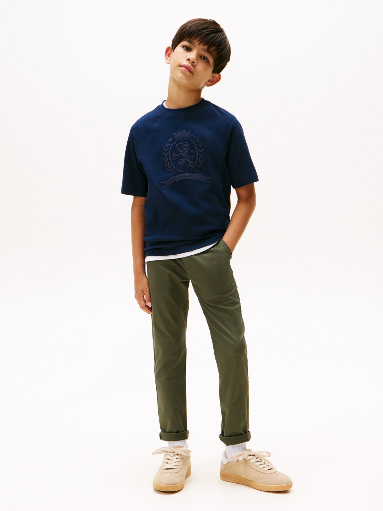 Blue Tonal TH Crest Crew Neck T-Shirt  Boys