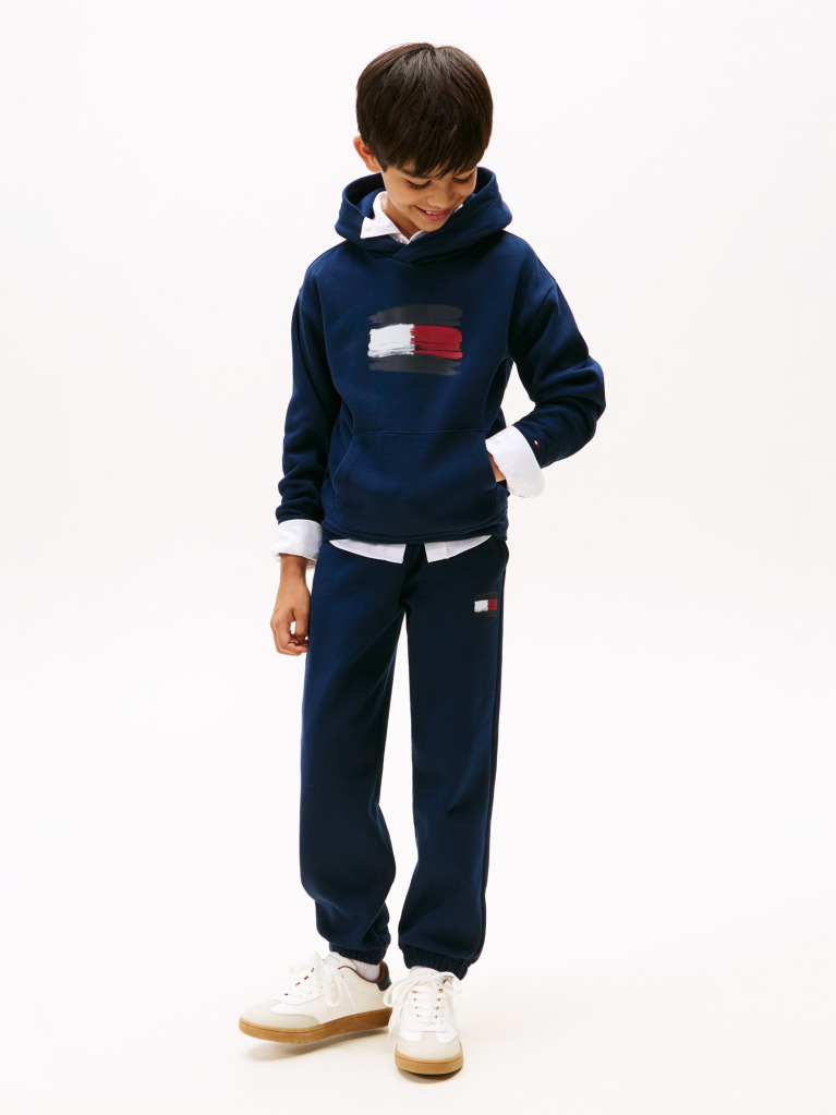 Blue Hilfiger Flag Hoody  Boys