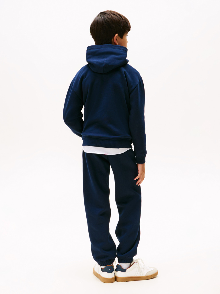 Blue Hilfiger Flag Hoody  Boys
