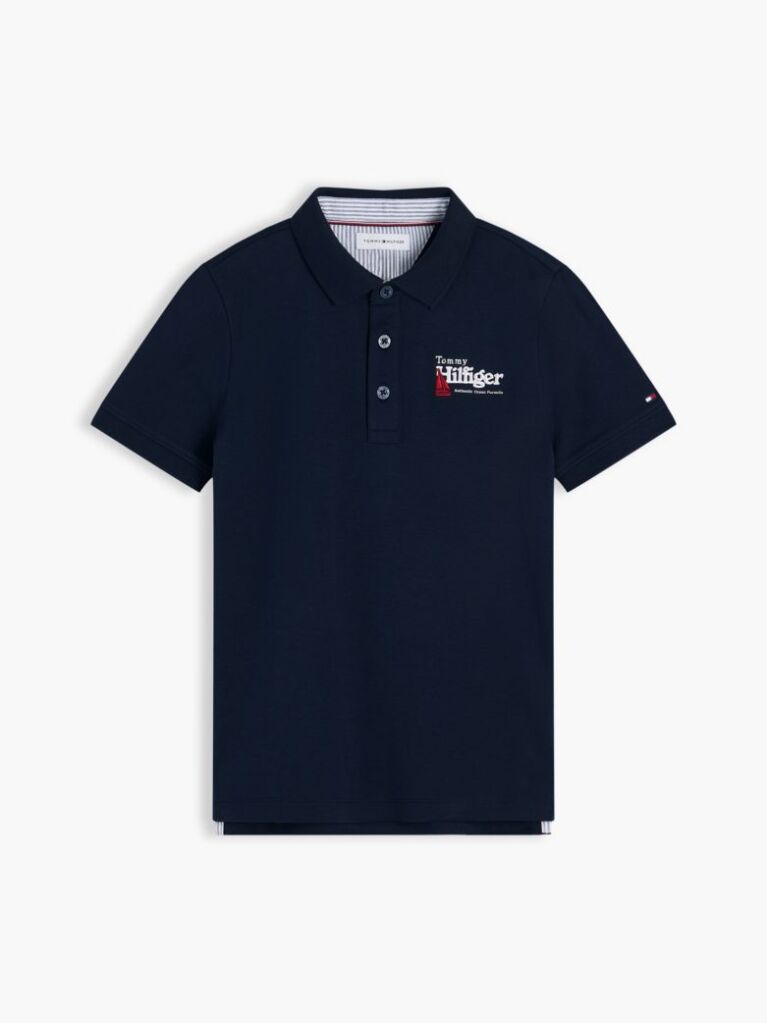 Blue Regular Fit Graphic Embroidery Polo Shirt  Boys