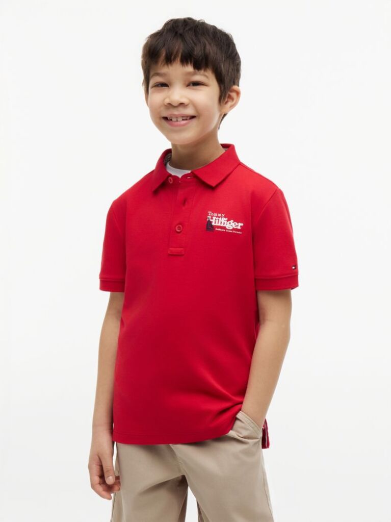 Red Regular Fit Graphic Embroidery Polo Shirt  Boys
