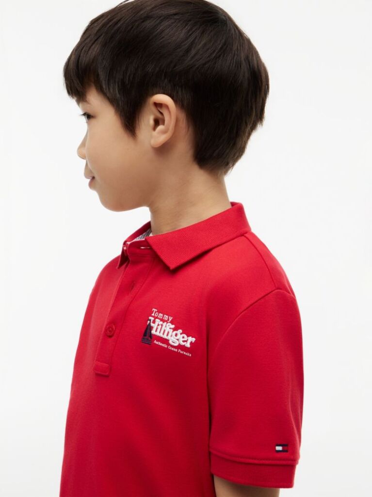Red Regular Fit Graphic Embroidery Polo Shirt  Boys
