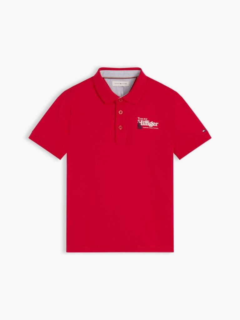 Red Regular Fit Graphic Embroidery Polo Shirt  Boys