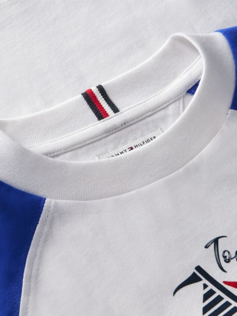 Blue Logo Colour-Blocked Raglan Sleeve T-Shirt  Boys