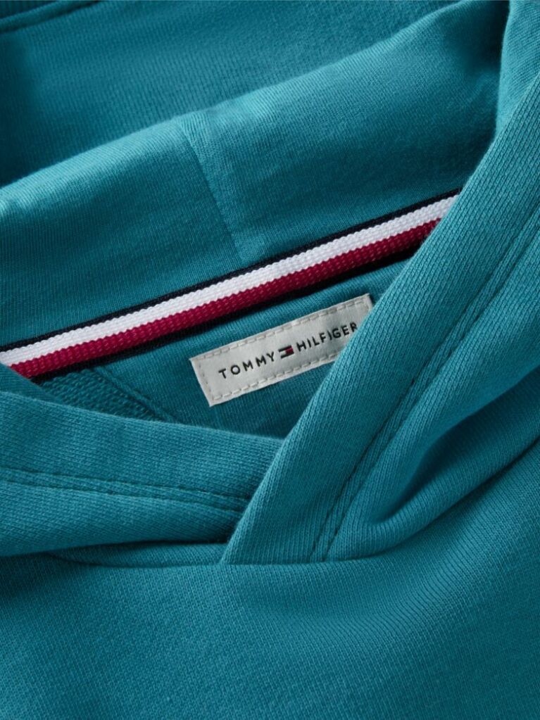 Blue Crest Logo Hoody  Boys