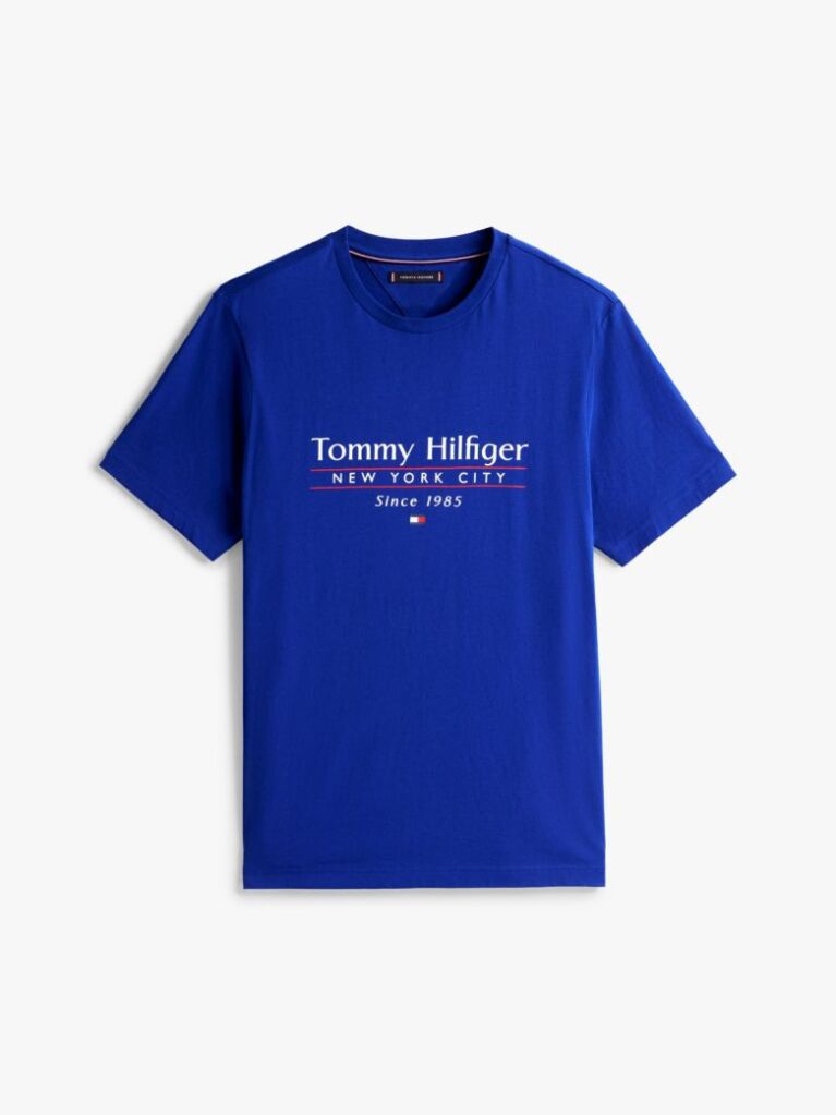 Blue Logo Crew Neck T-Shirt  Men