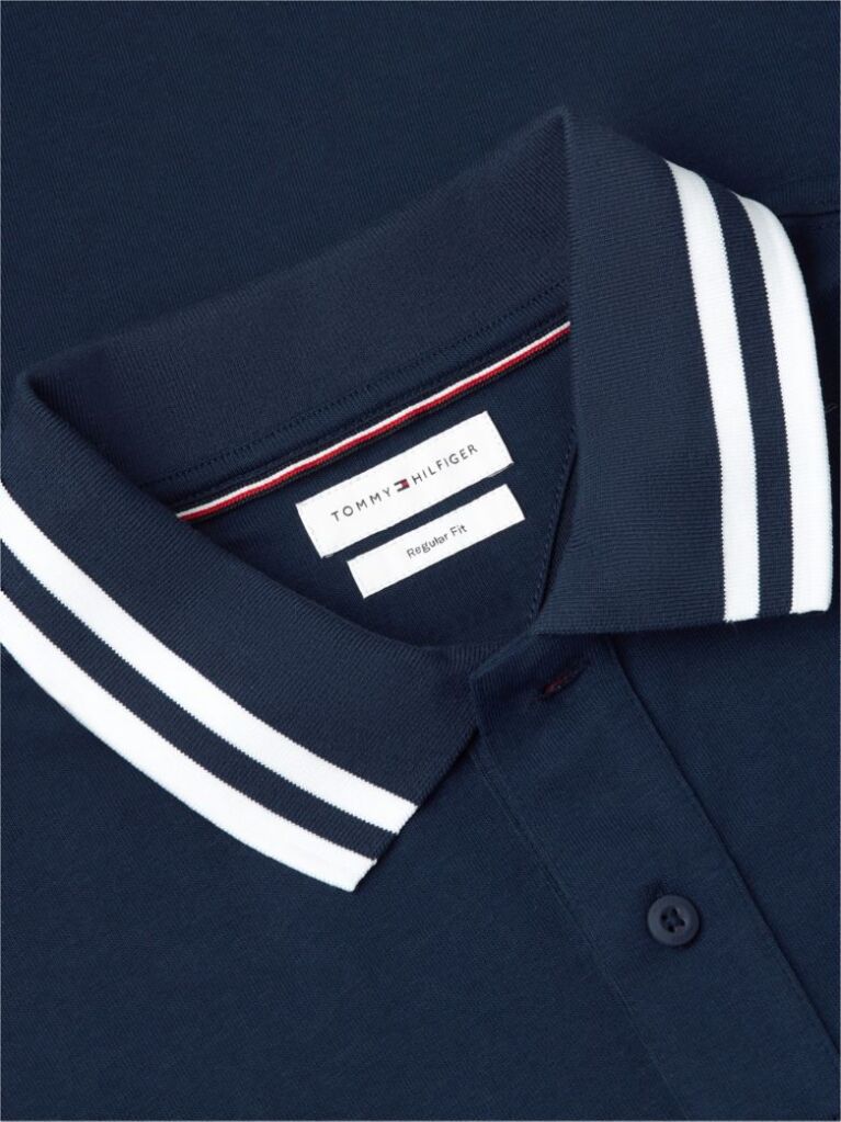 Multi Regular Fit Logo Tipped Polo Shirt  Men