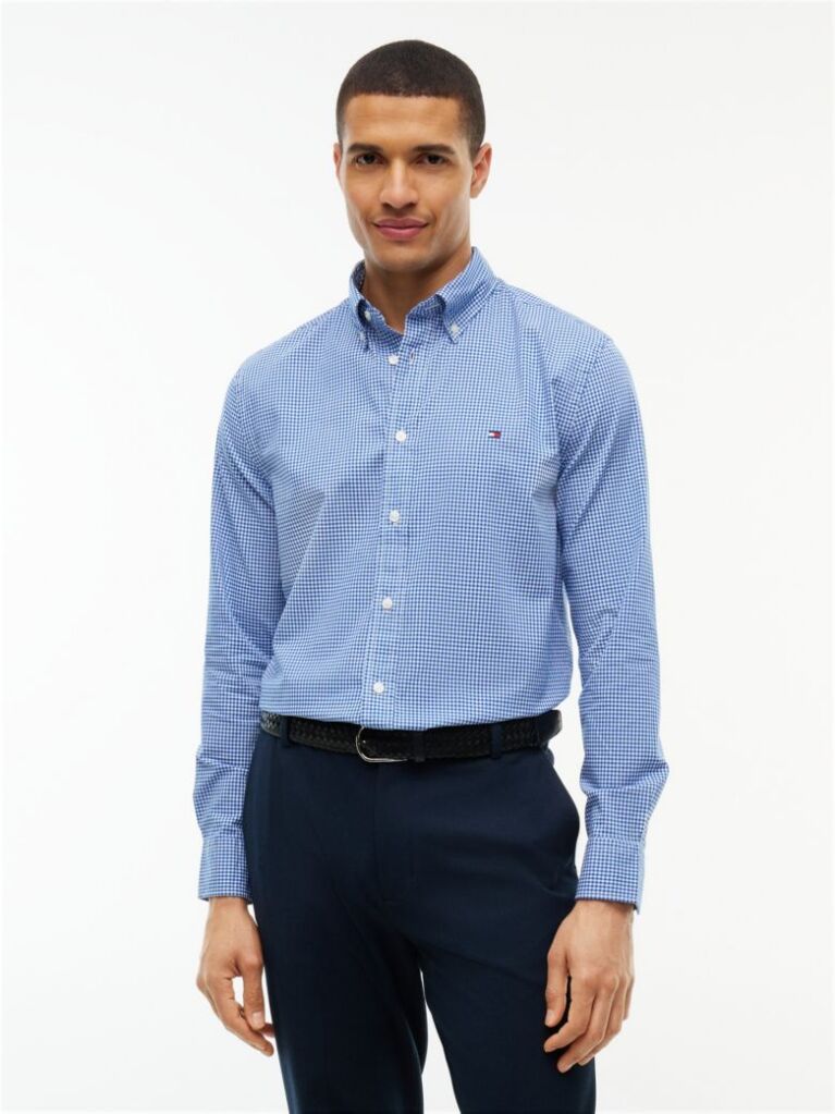 Blue Regular Fit Flex Gingham Shirt  Men