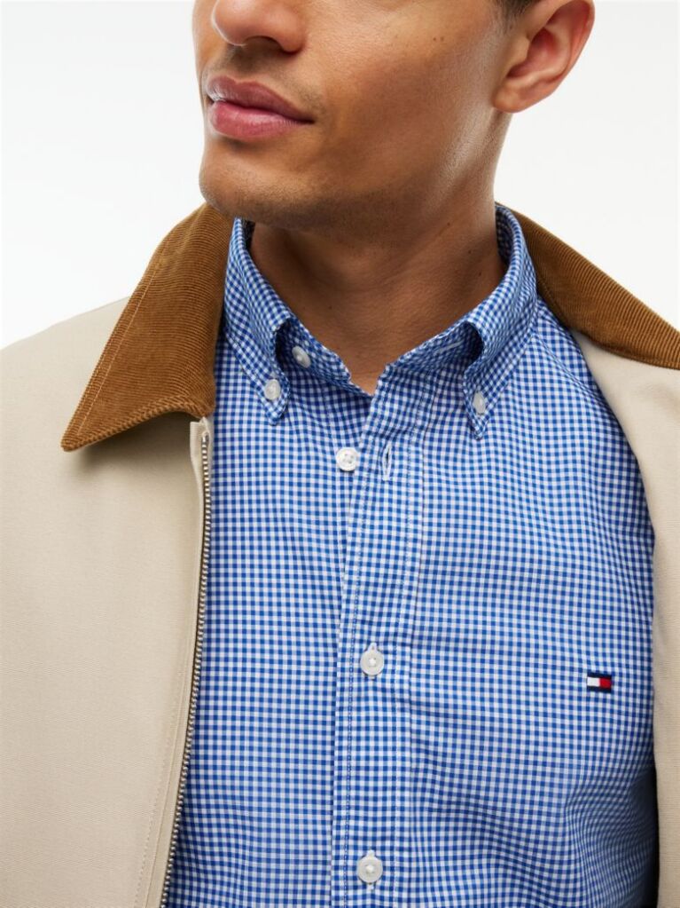 Blue Regular Fit Flex Gingham Shirt  Men