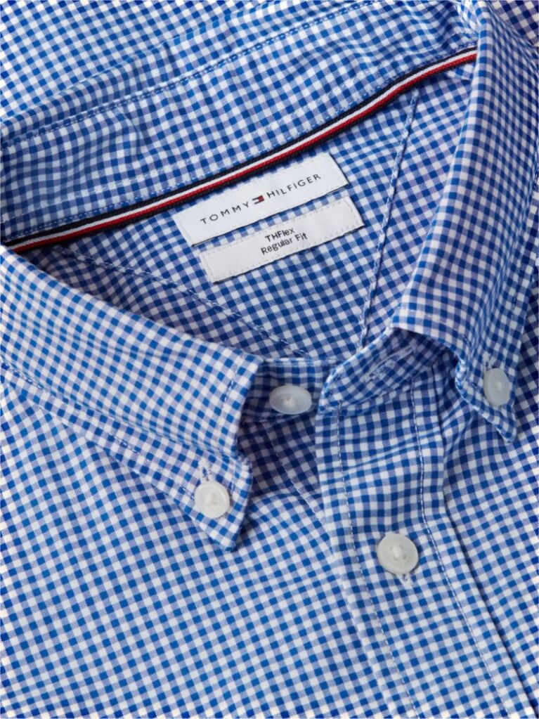 Blue Regular Fit Flex Gingham Shirt  Men