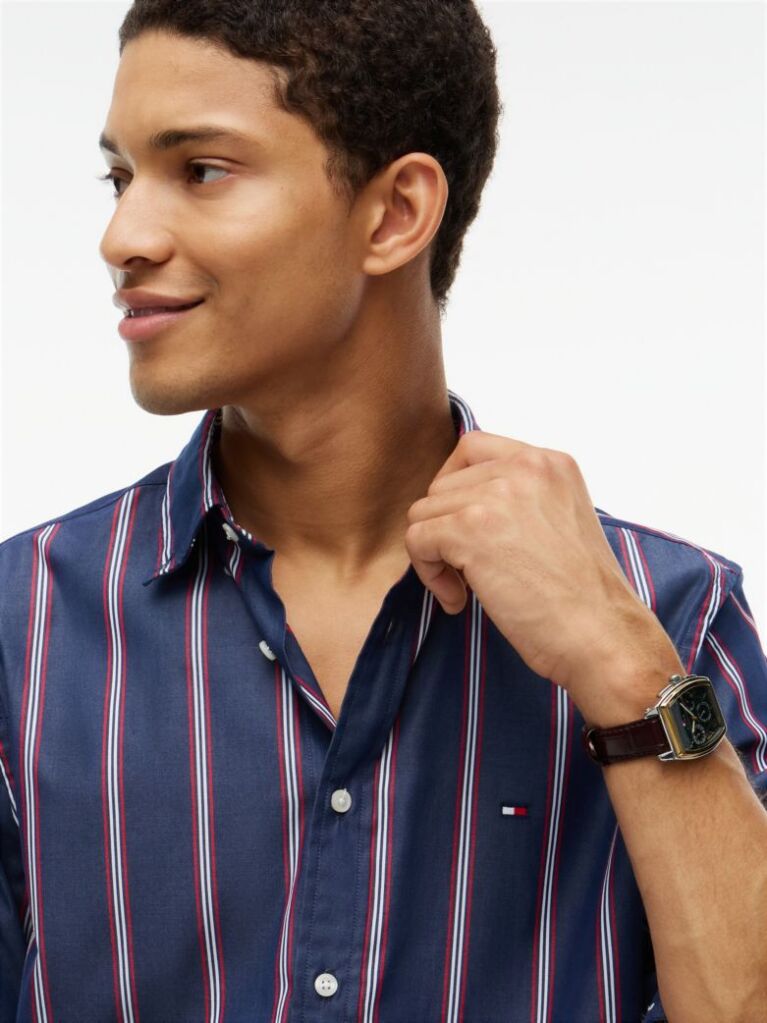 Multi Regular Fit Flex Stripe Poplin Shirt  Men
