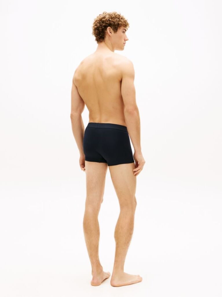 Multi 3-Pack TH Original Logo Waistband Trunks  Men