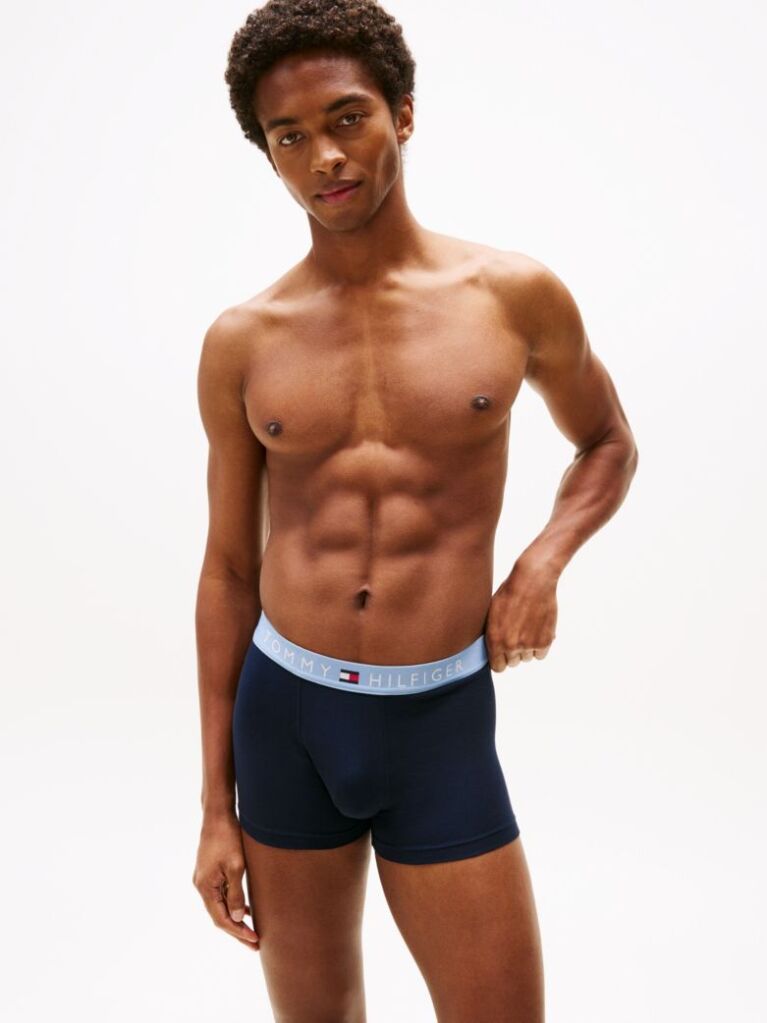 Multi 3-Pack TH Original Logo Waistband Trunks  Men