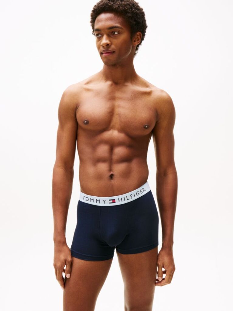 Multi 3-Pack TH Original Logo Waistband Trunks  Men