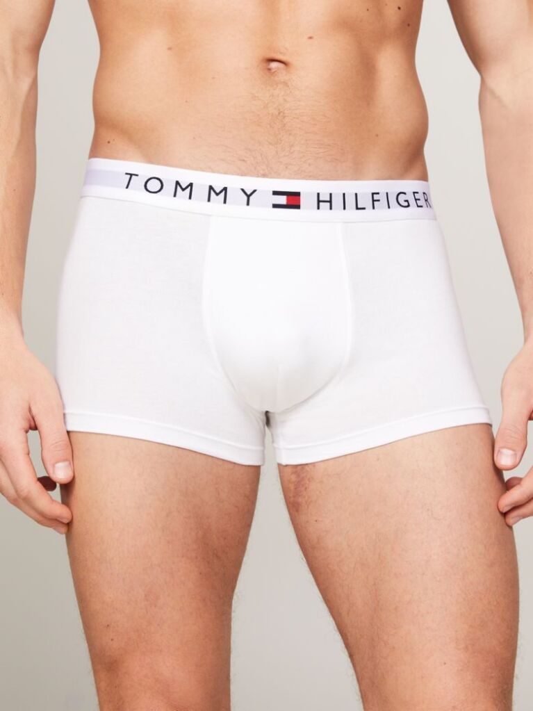 Multi 3-Pack TH Original Logo Waistband Trunks  Men
