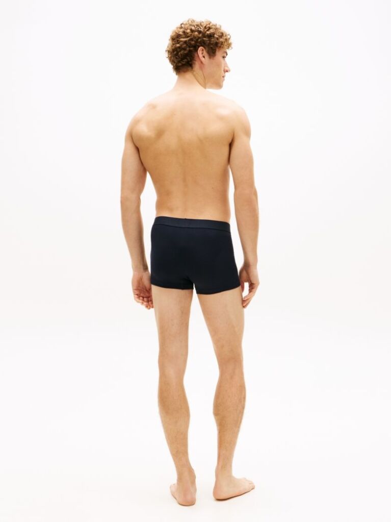 Multi 3-Pack TH Original Logo Waistband Trunks  Men