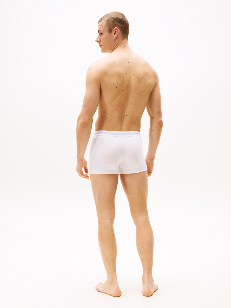 Multi 3-Pack TH Original Logo Waistband Trunks  Men